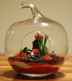 Elma Terrarium 3 kakts orta boy  Ankara Cumhuriyet mah. ubuk 14 ubat sevgililer gn iek 