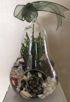 Orta boy armut terrarium 3 kakts  Ankara gvenli kaliteli hzl iek 