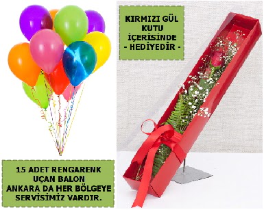 15 Adet uan balon ve kutuda krmz gl  Ankara Barbaros Mah. ubuk iek , ieki , iekilik 