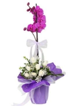 1 dal mor orkide ve 11 adet beyaz gl  Ankara Cumhuriyet mah. ubuk 14 ubat sevgililer gn iek 