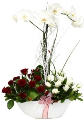 Tek dal beyaz orkide 8 beyaz 8 krmz gl  Ankara Atatrk Mah. ubuk iek sat 
