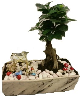 Japon aac bonsai sat  Ankara ubuk Kapakl Mah. anneler gn iek yolla 