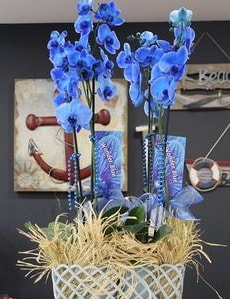 4 dall zel mavi orkide  Ankara yldrm beyazt Mah. ubuk iek siparii