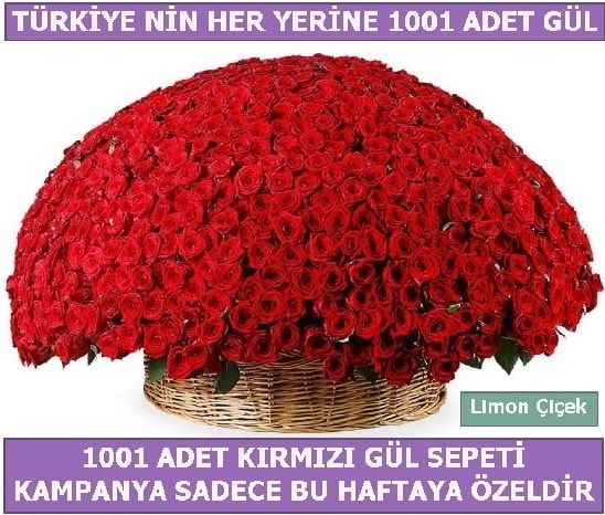 1001 Adet krmz gl Bu haftaya zel  Ankara ubuk Cumhuriyet Mah. iekiler
