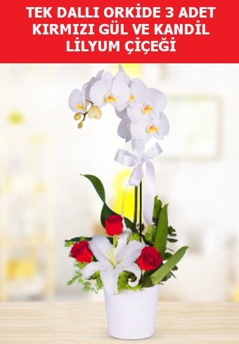 Tek dall orkide 3 gl ve kandil lilyum  Ankara ubuk Akkuzulu Mah. iek yolla
